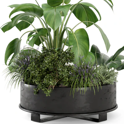 Outdoor Plants Bush in rusty Metal Pot - Set 222 — Ver 2