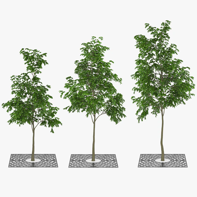 Street Tree 01 — Скачать