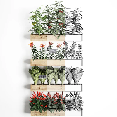 Vertical gardening. 45 Kitchen garden, kitchen garden, vegetables, herbs, peppers, tomatoes, tomatoes, Lettuce, phytomodule, phytowall, eco design, natural decor, vegetable garden — Ver 2