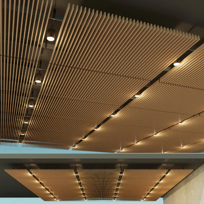 Suspended ceiling rack. 14 — Ver 2