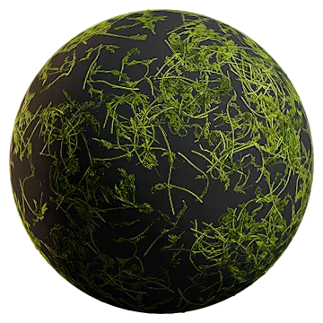 scattered herbs 002 — Descargar