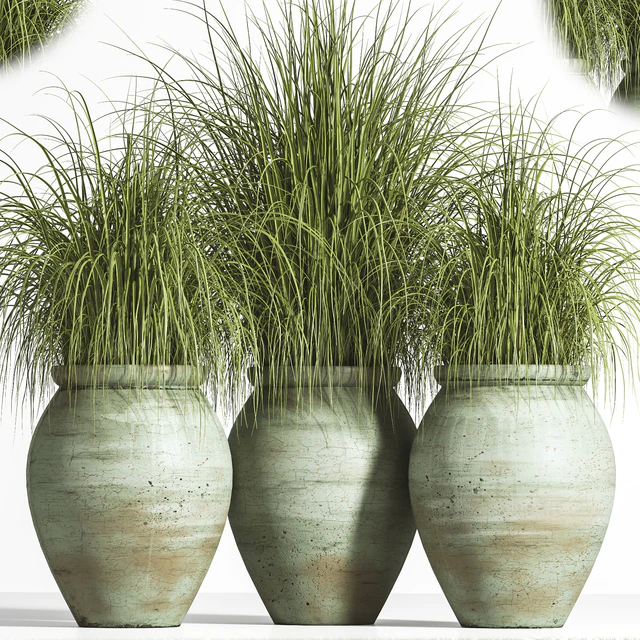 Outdoor Plant set 01 — Скачать