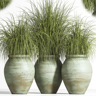 Outdoor Plant set 01 — Вид 2