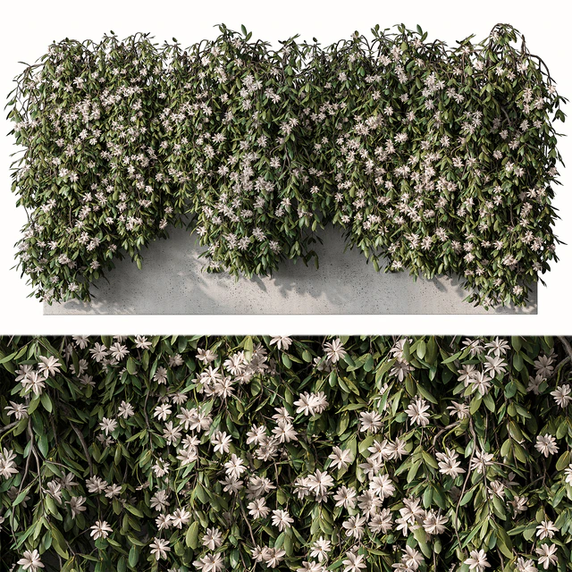 Outdoor Hanging Plants with White Flower - Set 390 — Descargar