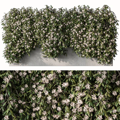 Outdoor Hanging Plants with White Flower - Set 390 — Ver 1