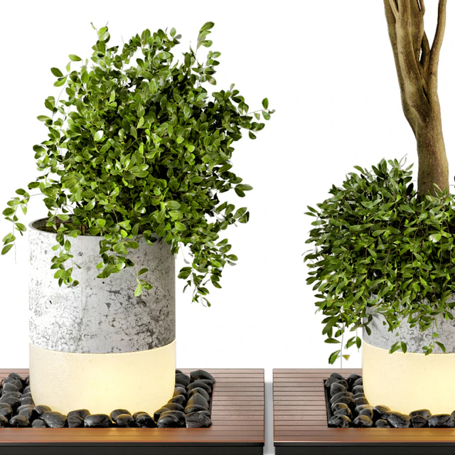 Outdoor Plants bush & Tree Combination of wood & concrete  Pot - Garden Set 45 — Скачать