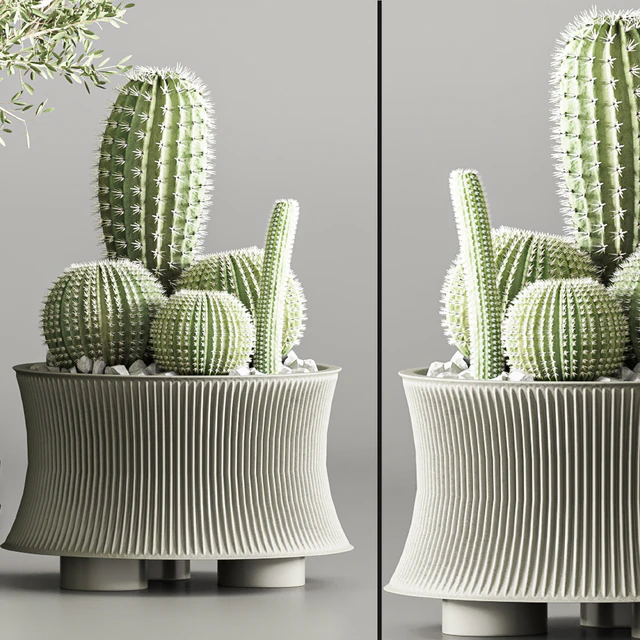 Cactus & plant vol 02 — Descargar