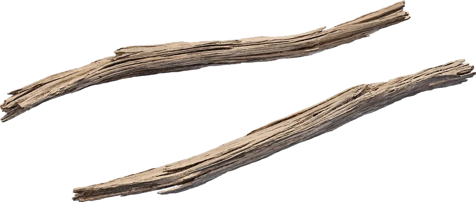 desert western tree branch juniper dead 002 — Descargar