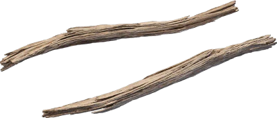 desert western tree branch juniper dead 002 — Descargar