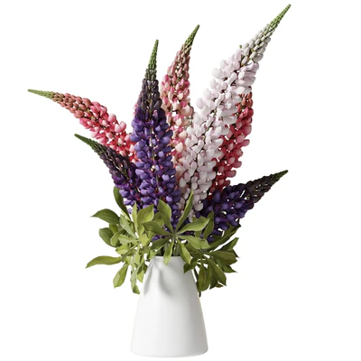 Bouquet with lupins — Ver 2