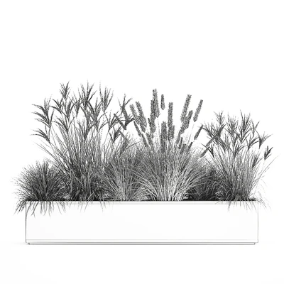 Collection of plants in a pot Pampas grass, reeds, flowerbed, landscaping, bushes. Set 1074. — Ver 2