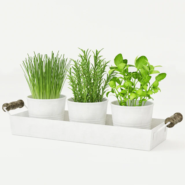 Pots of herbs — Descargar