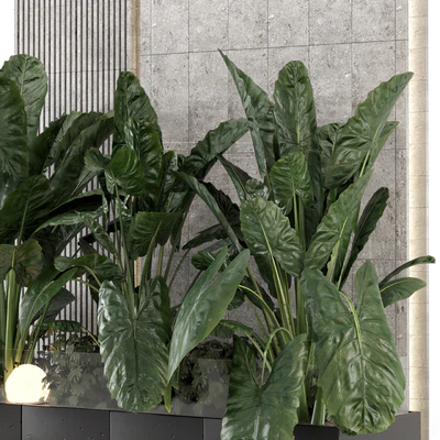 Indoor Wall  Big Green Leaf Garden in Concrete Base - Set 1770 — Вид 2