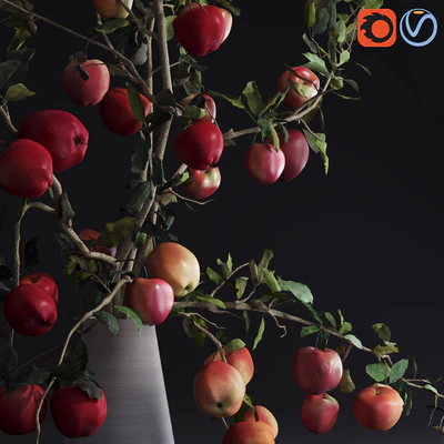 Red Cherry tomato apple branches Dry leaves Vase — View 3