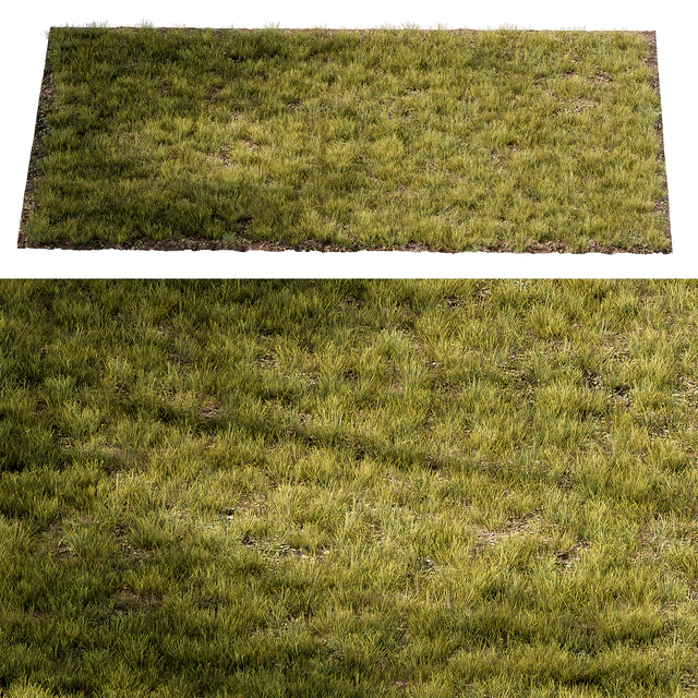 Short Grass Set 29 — Descargar