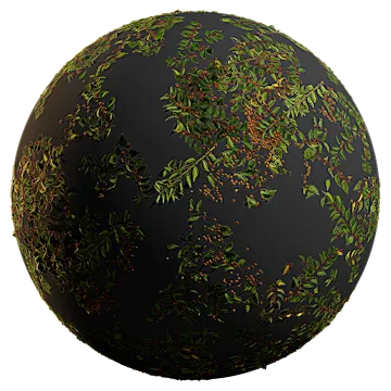 scattered fruit shrub 001 — Скачать