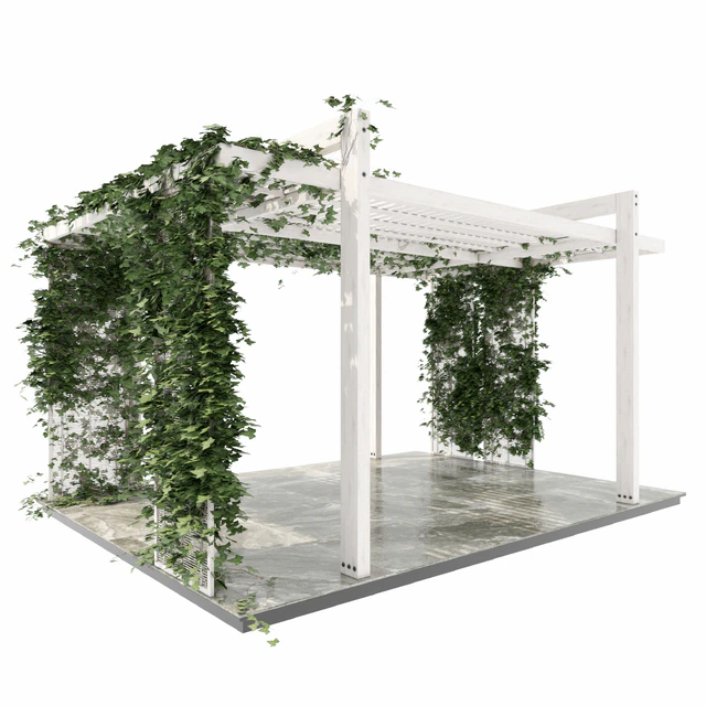 Pergola 6 — Descargar