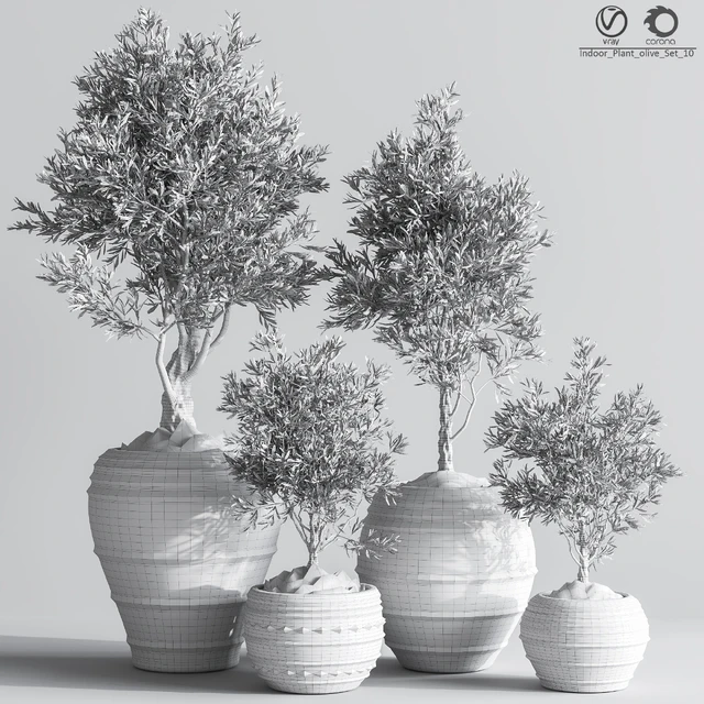 Indoor Plant olive Set 10 — Descargar