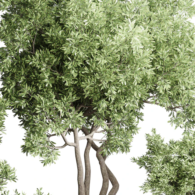 Collection Indoor Outdoor plant 118 vase concrete pot tree corona — Скачать