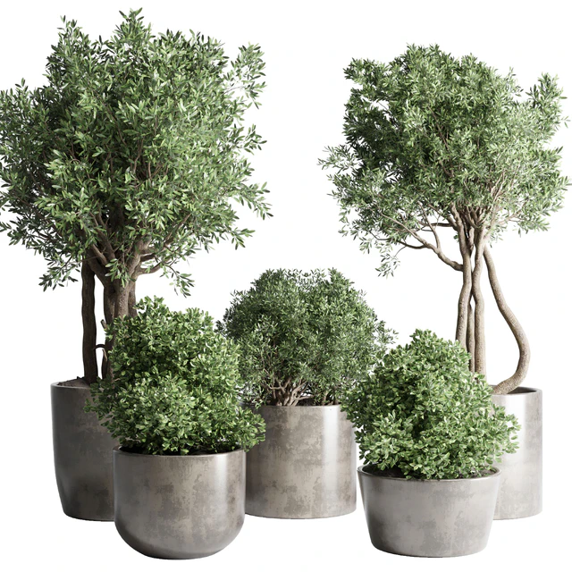 Collection Outdoor Indoor plant 53 concrete dirt vase pot tree bush — Descargar