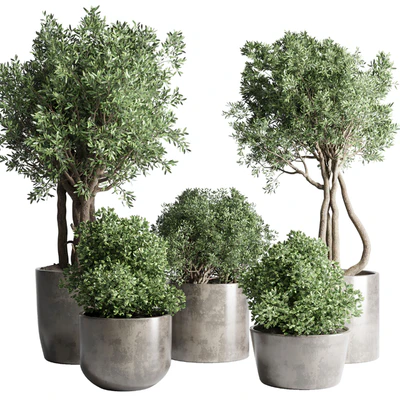 Collection Outdoor Indoor plant 53 concrete dirt vase pot tree bush — Ver 1