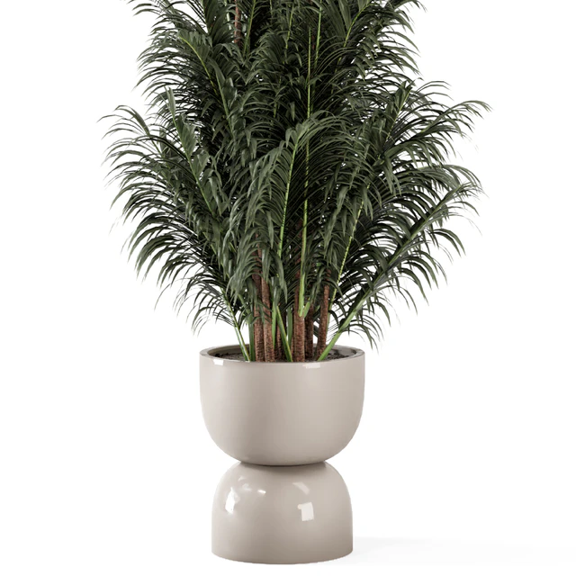 Indoor Plants  in rusty Concrete Pot - Set 352 — Скачать