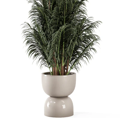 Indoor Plants  in rusty Concrete Pot - Set 352 — Вид 2