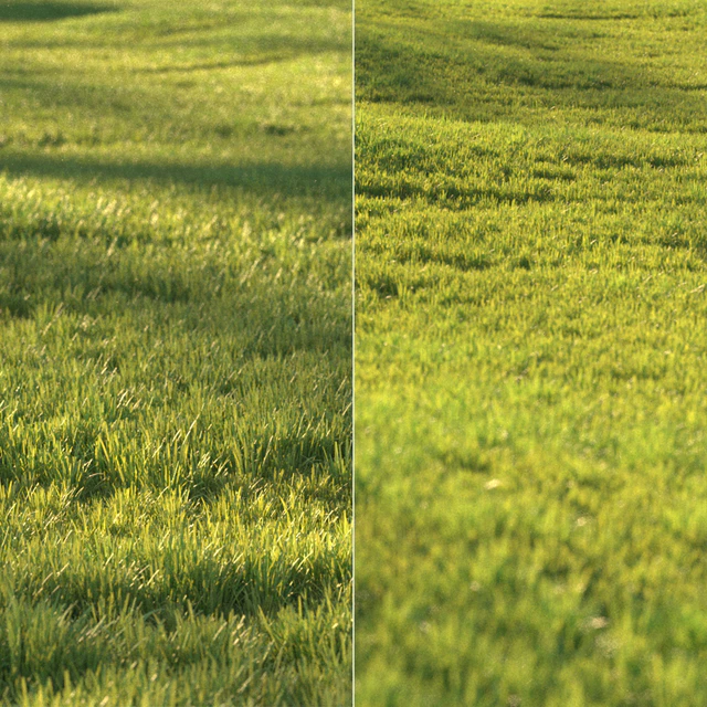 Sunny lawn — Descargar