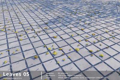 leaves 005 — Descargar