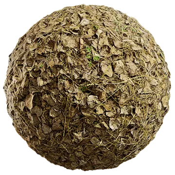 dried leaves 041 — Descargar