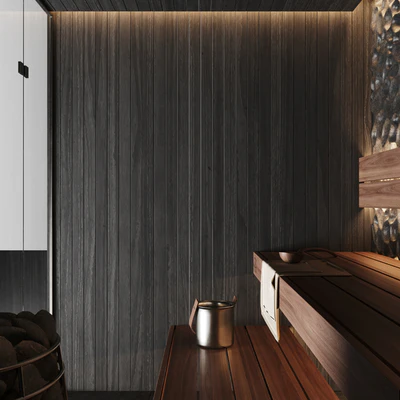 Home sauna — Ver 3