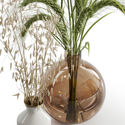 Dry plant set 02 — Ver 3