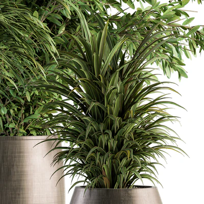 indoor Plant Set 112 - Tropical Plants — Ver 2