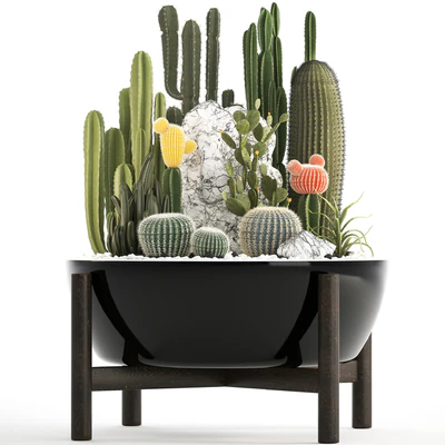 Plant collection 305. Cactus set, cacti, round cactus, flower bed, japanese, cereus, Barrel cactus, desert plants, Prickly pear — Ver 2