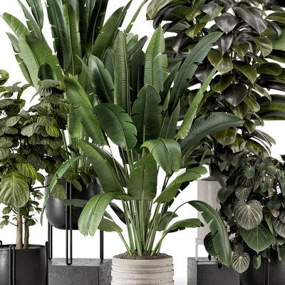 Indoor Plants in Ferm Living Bau Pot Large - Set 1208 — Вид 2