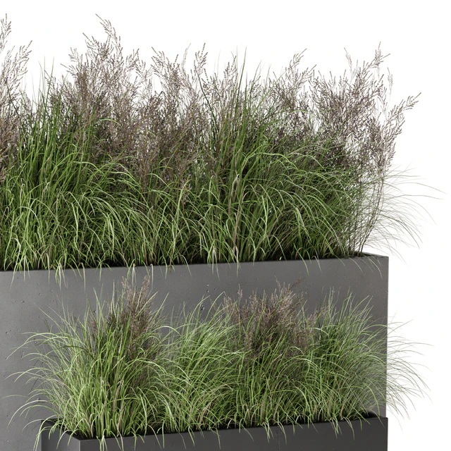 Outdoor Plants Bush in rusty Concrete Pot - Set 565 — Descargar