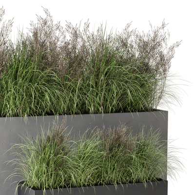 Outdoor Plants Bush in rusty Concrete Pot - Set 565 — Ver 2