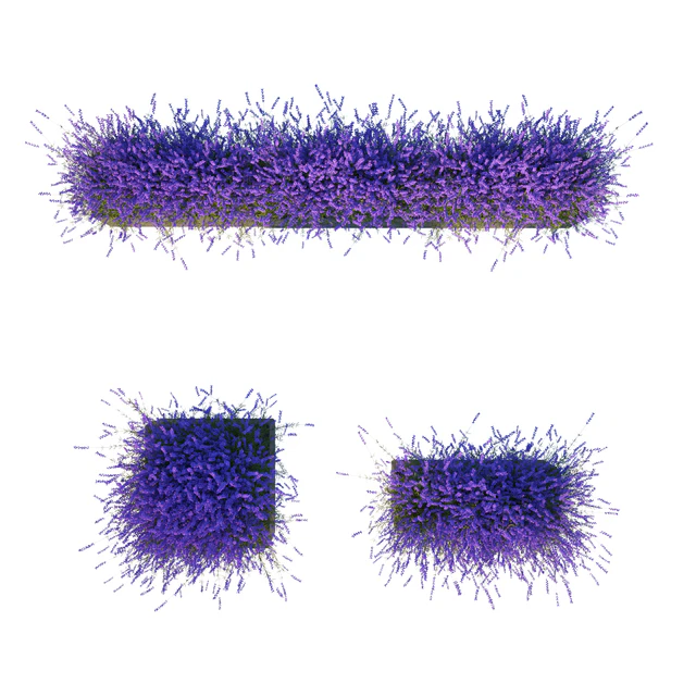 Lavender in Cubes — Descargar