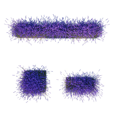 Lavender in Cubes — Ver 2