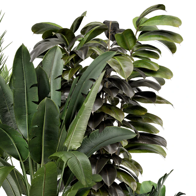 Indoor Plants in Ferm Living Bau Pot Large - Set 879 — Descargar
