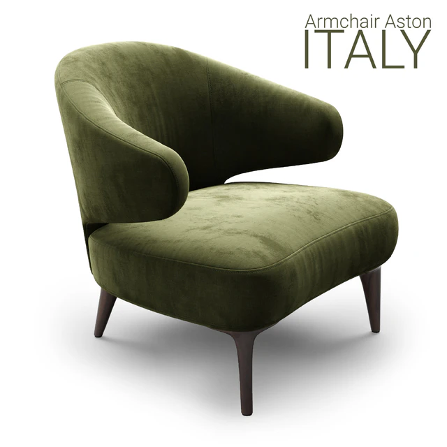 Armchair Minotti Aston 1 OLIVE — Descargar