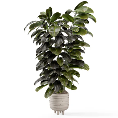 Indoor Plants In Concrete Pots - Set 953 — Вид 2