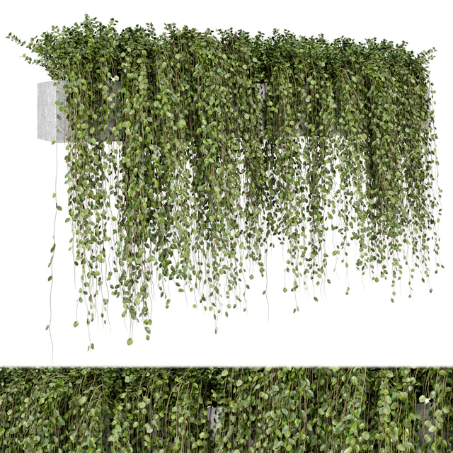 Hanging Plants in rusty Concrete Pot - Set 509 — Descargar