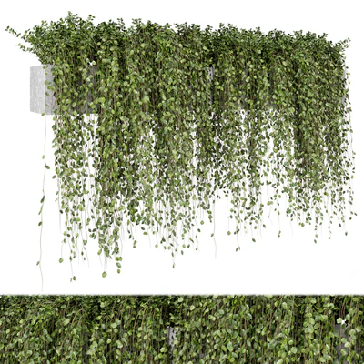 Hanging Plants in rusty Concrete Pot - Set 509 — Ver 2