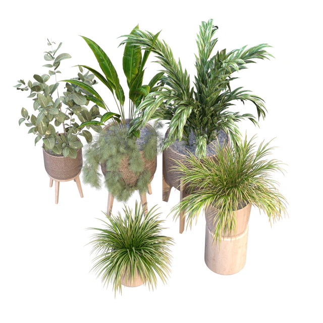 plant in vase collection set 214 — Descargar