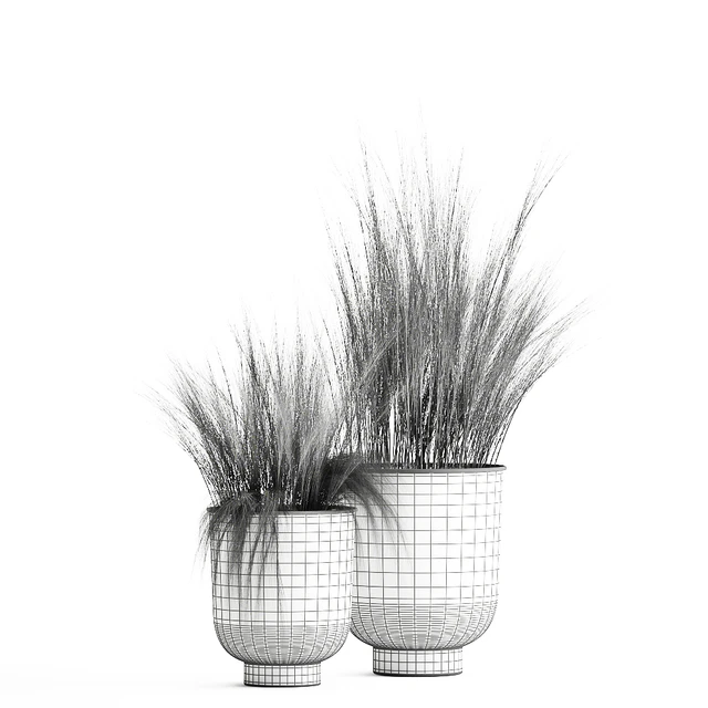 Collection of plants in black metal pots with bush grass grass. Set 1004. — Descargar