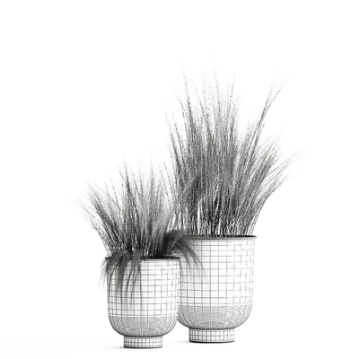 Collection of plants in black metal pots with bush grass grass. Set 1004. — Ver 2