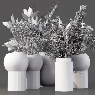Collaction Indoor Plants 06 — Вид 2