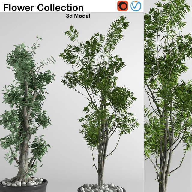 flower collection 3p — Descargar