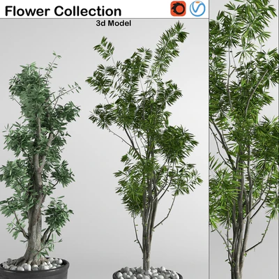 flower collection 3p — Ver 2